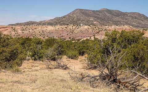El Rito Estates, Abiquiu, NM 87510