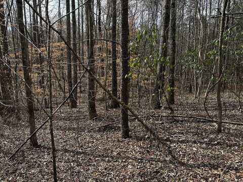 285 Co Rd 235, Arley, AL 35541