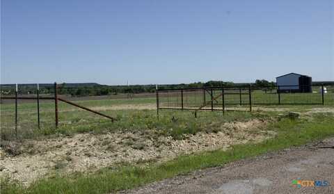 1884 Langford Cove Road, Evant, TX 76525