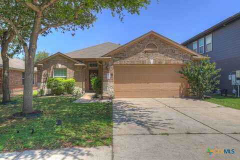 481 Bayou Bend Drive, Buda, TX 78610