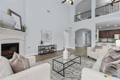 3412 Saint Christopher Court, Round Rock, TX 78665