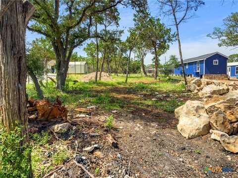 211 Rip Ford Road, Spring Branch, TX 78070