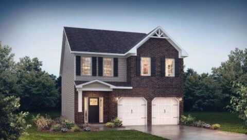 223 Paperbark Drive, Mauldin, SC 29607
