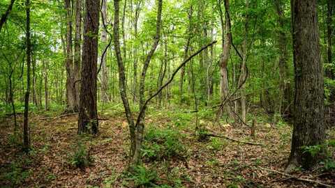 7398 Amon Hill Road, Bastrop, MS 71220