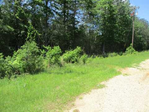 000 East 17th Street, Franklinton, LA 70438
