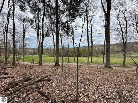 Unit 19 Forest Trail, Bellaire, MI 49615