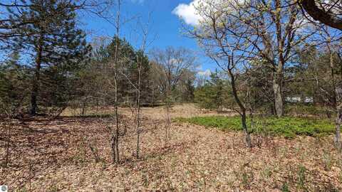 Lot 19 Wingert Street, Brethren, MI 49645