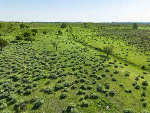 8040 Co Rd 2, Mobeetie, TX 79061