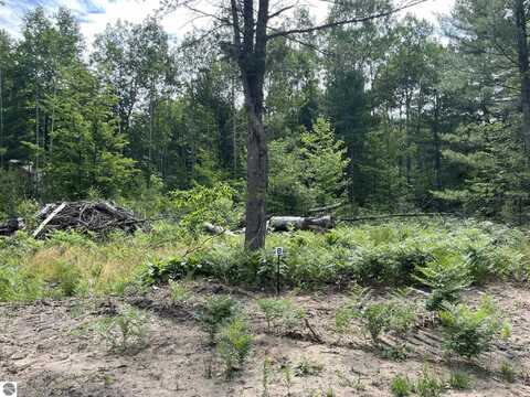 TBD Hoosier Flats Road, Traverse City, MI 49685
