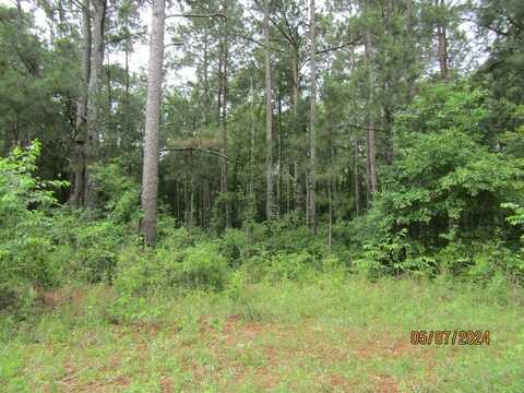 7275 Beulah Lane, Baconton, GA 31716