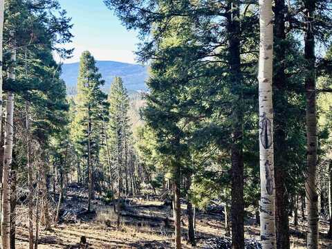 Lot 1142a Panorama Way, Angel Fire, NM 87710
