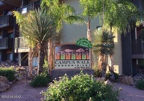 911 N Euclid Avenue, Tucson, AZ 85719