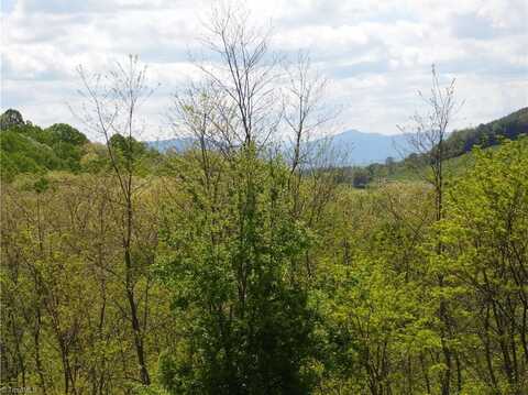 Tbd Ginkgo Drive, Laurel Springs, NC 28644