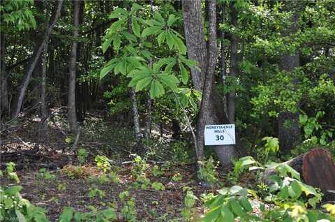 Tbd Billings Hill Church Road, Traphill, NC 28685