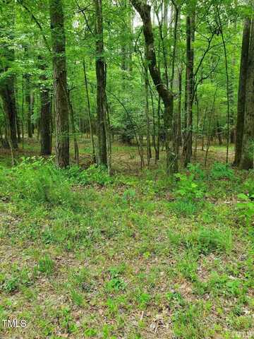 0 Lot 20 Pool Rock Road, Henderson, NC 27537