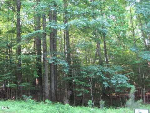 718 Sagamore Drive, Louisburg, NC 27549