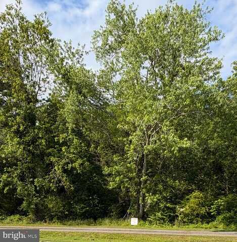 0 DAVIS ROAD, MARION STATION, MD 21838