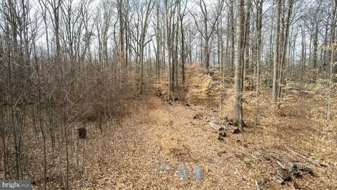 1306 JOHN BROWN ROAD, QUEENSTOWN, MD 21658