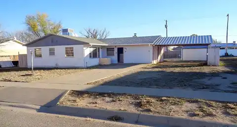 Damson, HAGERMAN, NM 88232