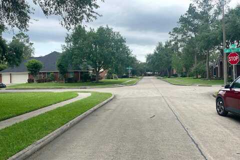 Blueberry, FRIENDSWOOD, TX 77546