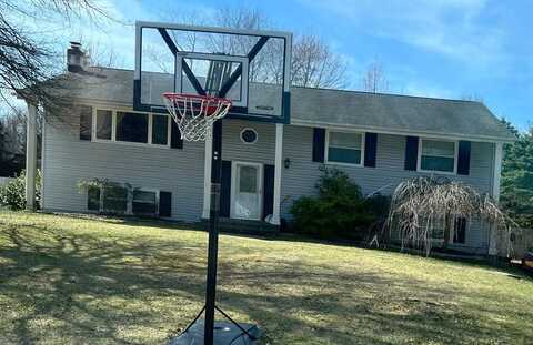 Lenny, WAPPINGERS FALLS, NY 12590