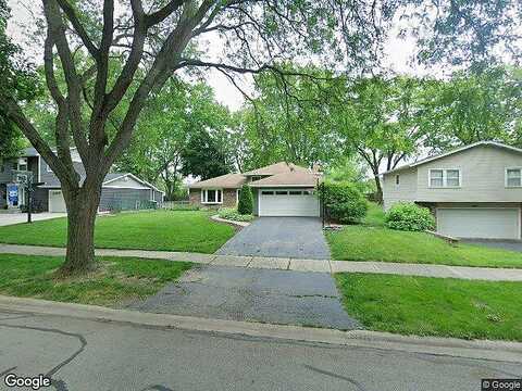 Swallow, NAPERVILLE, IL 60565