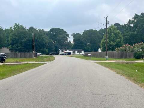 Bunny Hill, CONROE, TX 77302