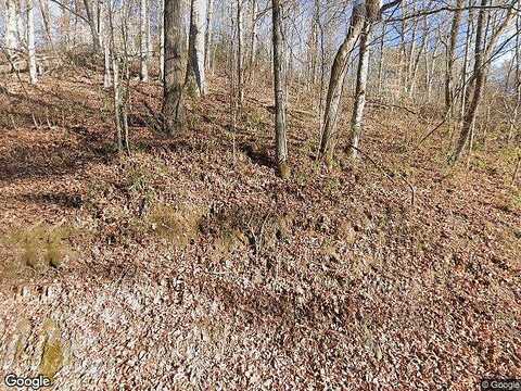 Long Branch, SEYMOUR, TN 37865