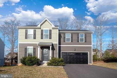 Mallard, LOCUST GROVE, VA 22508