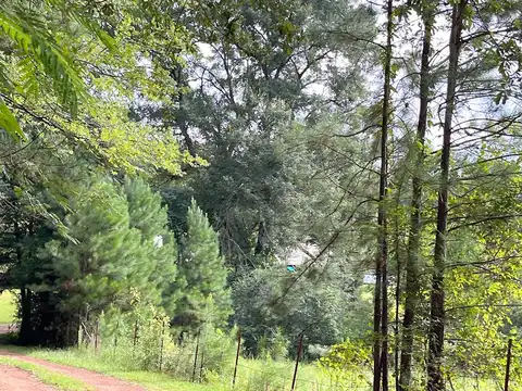 Ruggs Bluff, DOWNSVILLE, LA 71234