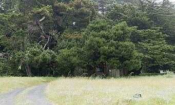 Leeward, THE SEA RANCH, CA 95497