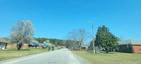 Mcphail, DALZELL, SC 29040