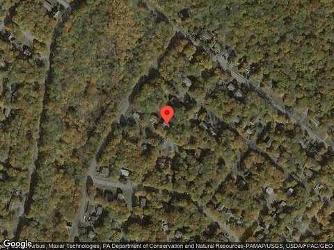 Possum, TOBYHANNA, PA 18466