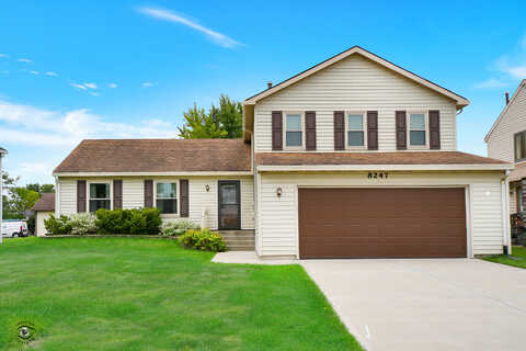 Wintergreen, FRANKFORT, IL 60423