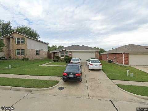 Willow Tree, MCKINNEY, TX 75071