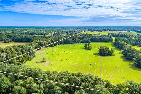 Ne 155 Avenue, Williston, FL 32696