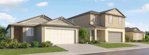 Lavender Aster, SAN ANTONIO, FL 33576