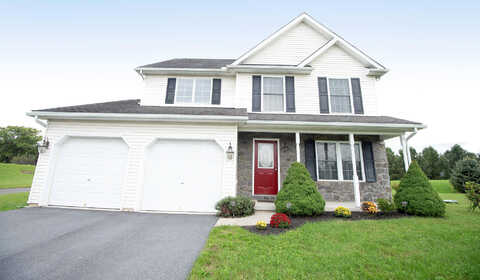 Steven, LENHARTSVILLE, PA 19534