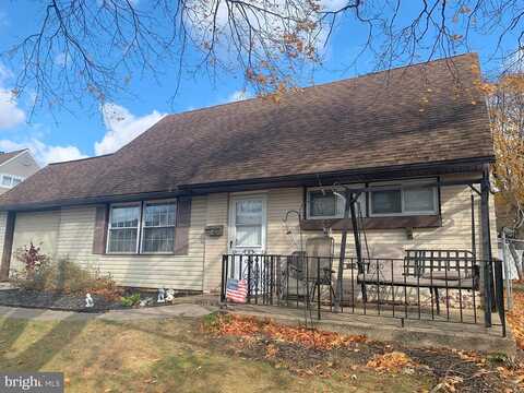 Conifer, LEVITTOWN, PA 19057