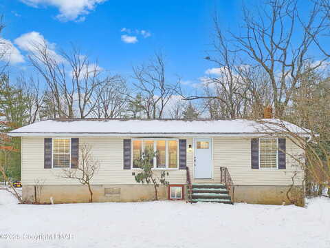 Michael, SAYLORSBURG, PA 18353