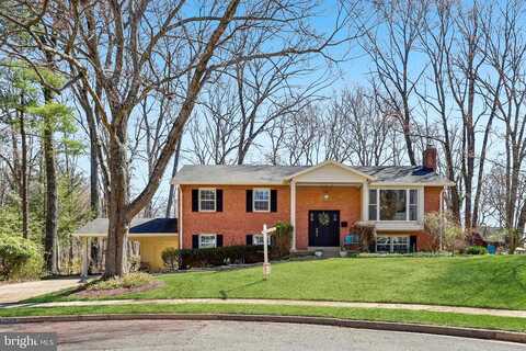 Poe, ANNANDALE, VA 22003