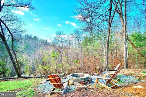 Pine, MOUNT JACKSON, VA 22842