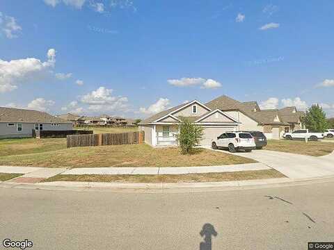 Daisy, NEW BRAUNFELS, TX 78130