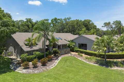 Elder Berry, SARASOTA, FL 34241