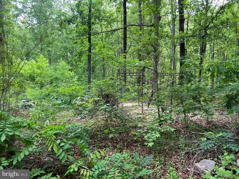 13012 ORANGE PLANK ROAD, LOCUST GROVE, VA 22508