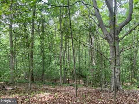 7575 MASON SPRINGS ROAD, LA PLATA, MD 20646
