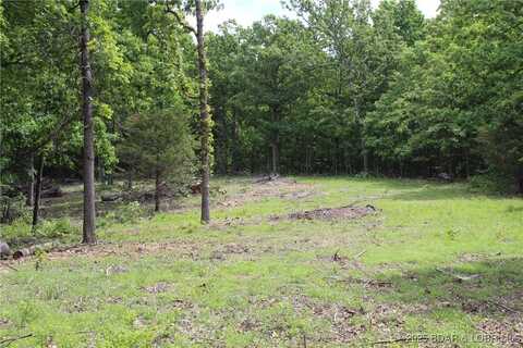 Whitetail Dream Lane, Montreal, MO 65591