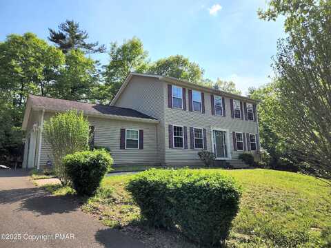 Carnation, EAST STROUDSBURG, PA 18302
