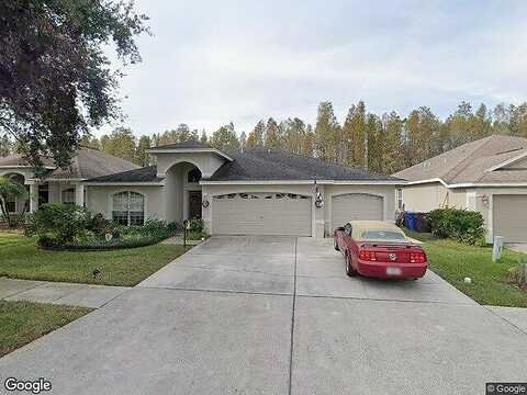 Morden Blush, LUTZ, FL 33558