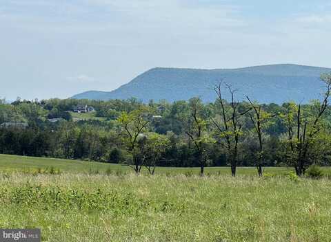 TBD BACK ROAD, STRASBURG, VA 22657